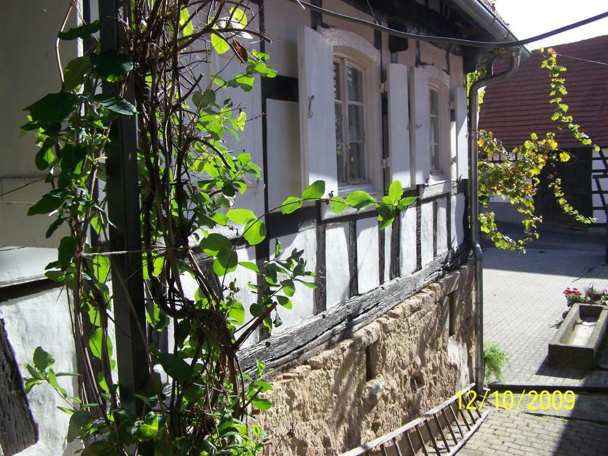Chambres D'Hotes Sabine Billmann Hunspach Esterno foto